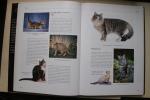 Esther Verhoef - De grote katten encyclopedie