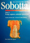 Putz , R . & R. Pabst . [ ISBN 9789031331024  ] 4518 - Sobotta. ( Atlas van de Menselijke Anatomie 2. Romp, organen, onderste extremitiet. ) De Sobotta. Een anatomie-atlas die er als geen ander in slaagt de menselijke anatomie inzichtelijk te maken. De didactische kwaliteiten van de Sobotta zijn groot. -