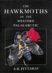 Pittaway, A. R. - The Hawkmoths of the Western