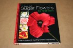 Paddi Clark - Sugar Flowers for beginners  --  A step-by-step guide to getting started in sugar floristry  (Bloemisterij)