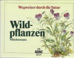 Sebald-Oskar Dr.---- Bearbeitung - Wildpflanzen- Mitteleuropas Sebald-Oskar Dr.---- Bearbeitung - Wildpflanzen- Mitteleuropas