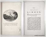 OLLEFEN, L. VAN, - De Nederlandsche stad- en dorp-beschrijver: 't Dorp Limmen.