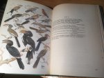 McLachlan & Liversidge - Roberts/Robert's Birds of South Africa