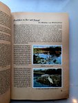 Cigaretten Bilderdienst - Aus Deutslands Vogewelt Cigaretten Bilderdienst - Aus Deutslands Vogewelt