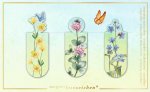  - Magnetische boekenlegger Bloemenweide â€“ set van 3 met bloemendesigns