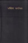 Bijbel - Punjabi Bijbel, Groot formaat, Soepele vinyl kaft, 1243 pag., Easy-To-Read Version, goede staat,