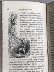 Parley, Peter - The Adventures of Dick Boldhero in Search of His Uncle: Or Dangers and Difficulties Overcome [in Surinam]