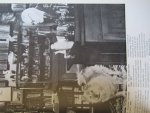 Freud, ernst, Freud, Lucie (sst) - Sigmund Freud Lieux visages objets Freud, ernst, Freud, Lucie (sst) - Sigmund Freud Lieux visages objets