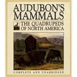 John James Audubon - Audubon's Quadrupeds of North America