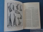 Mrs. Beeton. - Mrs. Beeton's cookery book. All about cookery, household work, marketing, trussing, carving, etc. Fully illustrated with coloured and photographic plates.
