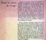 Fernandez, Dominique - Dans la main de l'ange (FRANSTALIG)