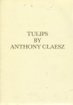 Segal, Sam (text) - Tulips by Anthony Claesz : 56 seventeenth century watercolour drawings by Anthony Claesz (ca. 1607/08-1649)