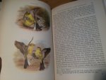 Smith, Stuart - The Yellow Wagtail, New Naturalist Monograph 4