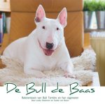 Buren, Famke van - De Bull de Baas