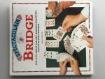 Brian Senior - Bridge