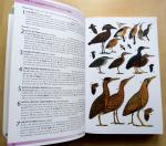Borrow, Nik and Demey,Ron - Birds of Western Africa
