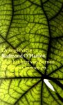  - O'HANLON, REDMOND - De junglereizen: naar het hart van Borneo & tussen Orinoco en Amazone - uitgeverij Arbeiderspers, 640 blz.