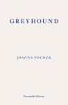 Joanna Pocock - (1) Greyhound