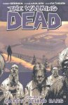 Robert Kirkman - Walking dead (03): safety behind bars