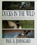 Paul A. Johnsgard - Ducks in the Wild Conserving Waterfowl and Their Habitats