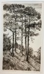 Herinkhuijzen, Frans Jacob (1892-1959) - [Original etching] "Dennenheuvel", 1952.