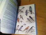 Heather, Barrie & Hugh Robertson & Derek Onley - Field Guide to the Birds of New Zealand