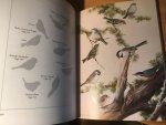 Tufts, Robie W & Roger Tory Peterson - Birds of Nova Scotia, 3rd edition