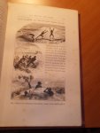 Thoulet - Mon premier voyage en mer. Traduit et adapté de l'Anglais [par Thoulet]. Illustré par H.S.M. - et A. Marie.