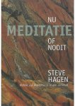 Steve Hagen - Meditatie nu of nooit