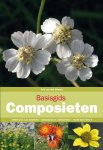 Arie van den Bremer 235023 - Basisgids composieten
