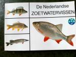 red. - De Nederlandse zoetwatervissen