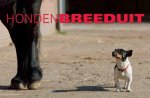 [{:name=>'Peter Beemsterboer', :role=>'A01'}] - Honden Breeduit / Breeduit