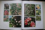 Mary Moody ; Harhness, Peter - Complete naslagwerk over rozen: ROZEN ENCYCLOPEDIE met meer dan 1100 klassieke en moderne rozen HET COMPLETE NASLAGWERK over ROZEN