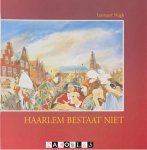 Lenneart Nijgh - Haarlem bestaat niet