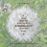 Ine van Gisbergen - Jij was hier, en nu?