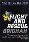BAUER, Yehuda - Flight and Rescue: Brichah. [The organized escape of the Jewish survivors of Eastern Europe, 1944-1948].