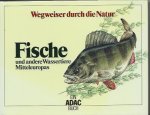 Hans Jürgen Flügel Prof.Dr.--Möhn Edwin Prof.Dr. - Fische und andere Wassertiere Mitteleuropas