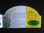Folder - Franse kaas Saint-Nectaire Folder - Franse kaas Saint-Nectaire