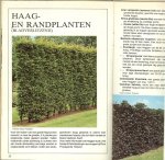 Taxus baccata  en siegrassen - Keuze voor uw tuin.