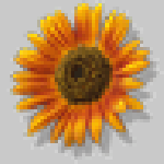 Eric Corey Freed - Green Building & Remodeling for dummies