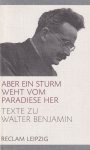 Opitz, Michael - Aber ein Sturm weht vom Paradiese her: Texte zu Walter Benjamin
