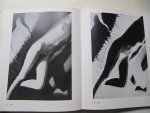 Andreas Haus - Moholy-Nagy, Fotos und Fotogramme