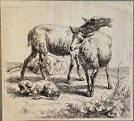 Nicolaes Berchem (1621/22-1683) - Antique print, etching I Sheep and lamb (Schapen met lammetje), published after 1650, 1 p.