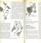 Strange, Richard le ..  Geillustreerd door Derek Cork .. Vertaling: Rechel Buitenrust Hettema - Kroniek der Geneeskruiden .. In dit fascinerende boek wordt een beschrijving gegeven van meer dan 750 geneeskrachtige planten, die door de eeuwen heen door de mens gebruikt zijn.