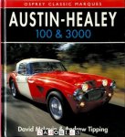 David McLavin, Andrew Tipping - Austin Healey 100 &amp; 3000