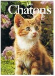 Sayer, Angela - Les chattons
