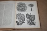Peter Henderson - Henderson's Handbook of Plants & General Horticulture