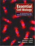Bruce Alberts, Dennis Bray and more - Essential Cell Biology, An Introduction to the Molecular Biology of the Cell