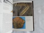 MOODY,RICHARD - THE FOSSIL WORLD