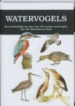 Stastny, Karel - Watervogels. Een beschrijving van meer dan 100 soorten watervogels, met vele illustraties in kleur.